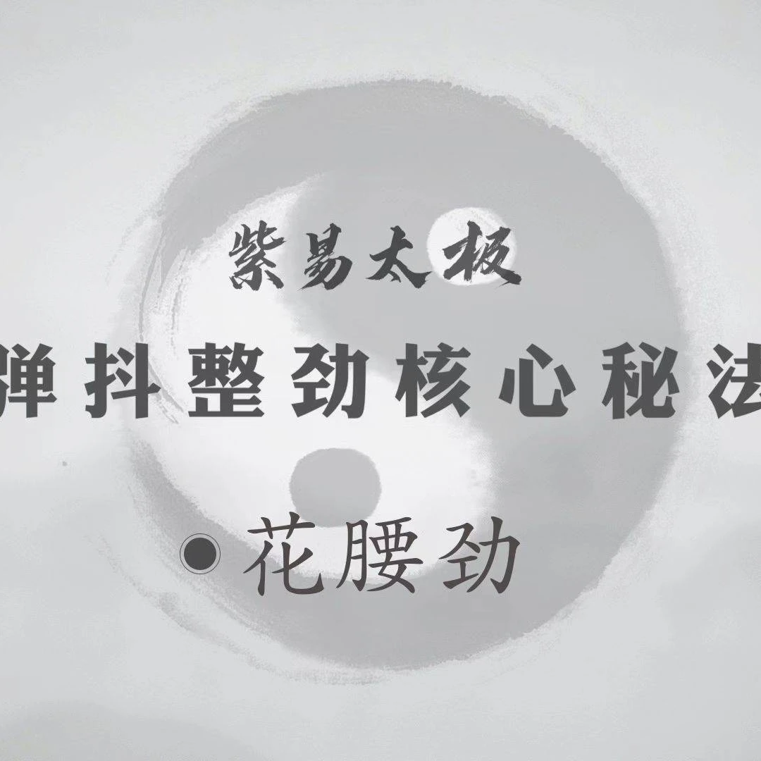 紫易太极零基础中级课程发劲训练-花腰劲