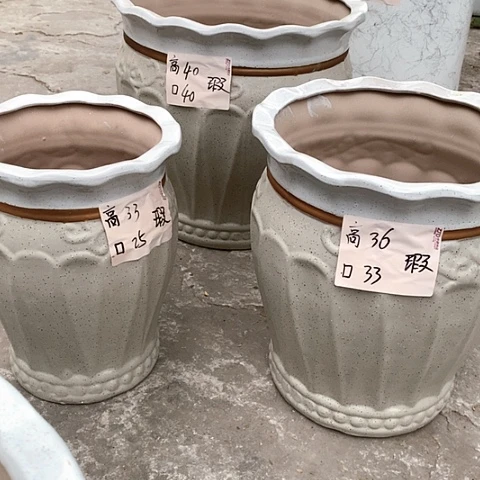 红陶20CM（含）-50CM（不含）