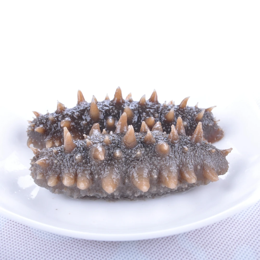 珍砣岛辽刺参大连甄选开袋即食鲜食海参1斤装4-7头劲道肉质美味