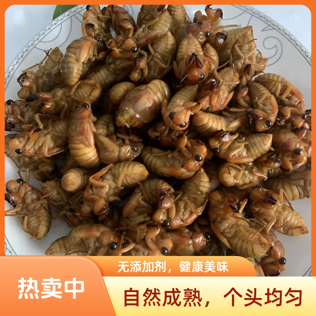 新鲜冷冻小爬叉香椿蝉小节流龟无影哇小个头偏小中秋送礼味道鲜美