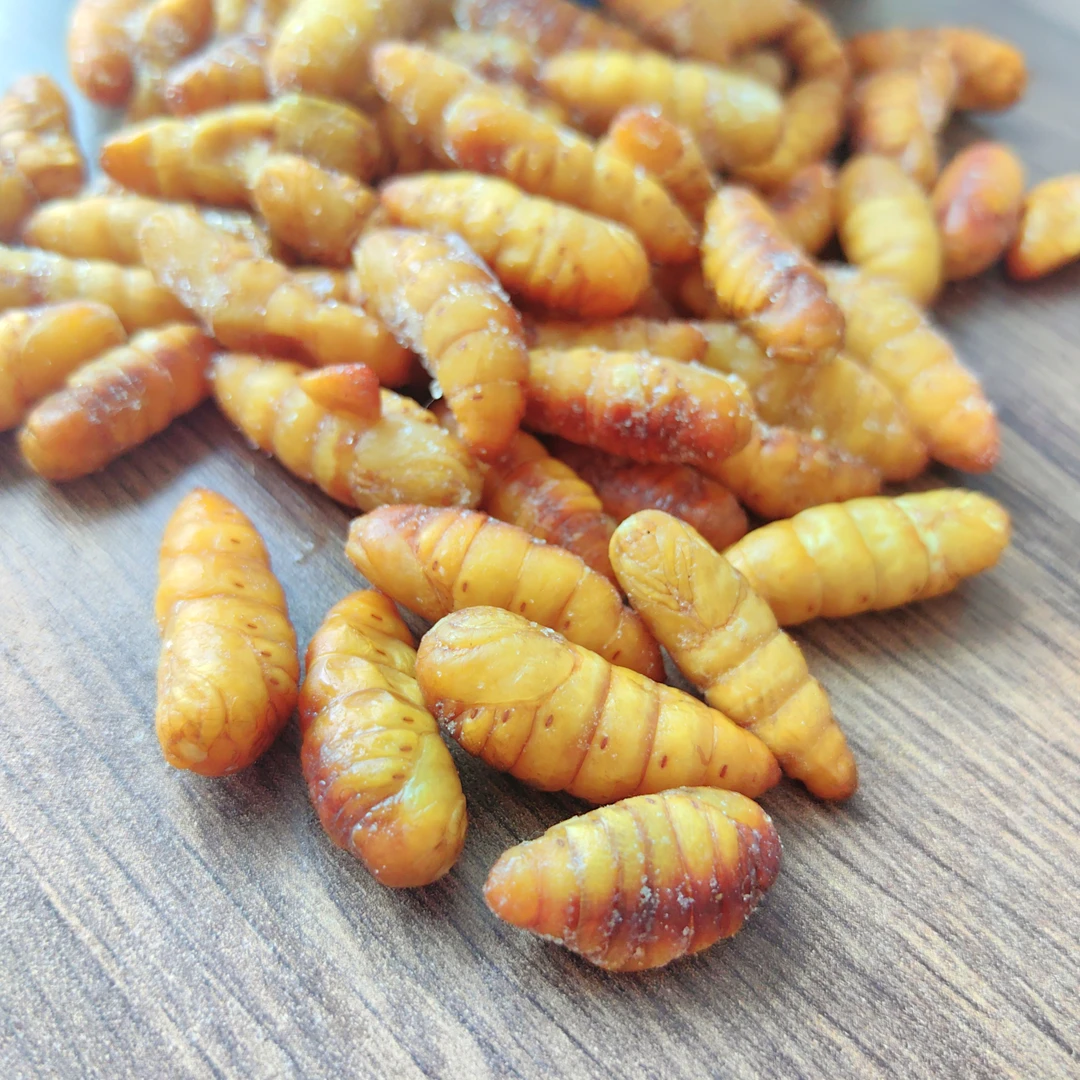 金丝蚕蛹肥厚山东特产冷冻蚕蛹新鲜美味袋装中秋好物味道鲜美