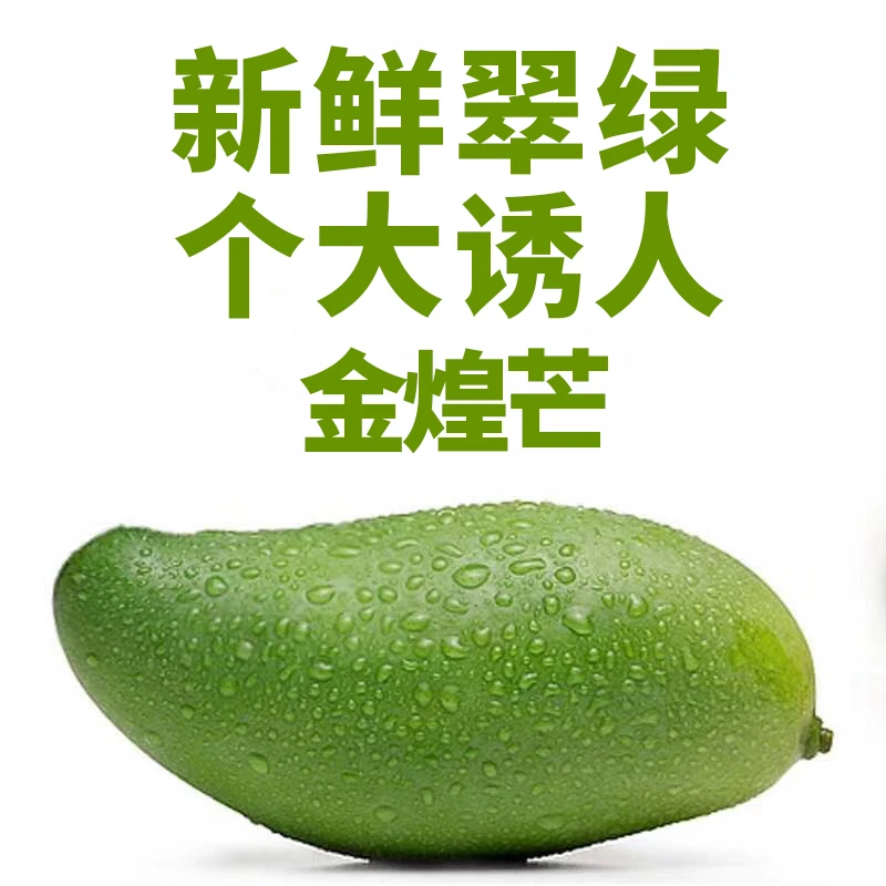 广西田东金煌芒果当季水果产地直发