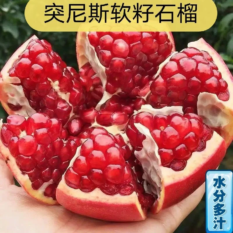 【花皮果】四川会理突尼斯软籽石榴5-8斤现摘现发饱满多汁新鲜水果