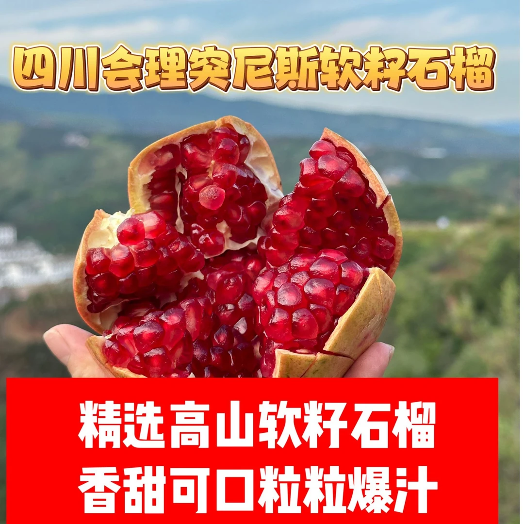 【精选】四川会理高山突尼斯软籽石榴 现摘现发 饱满多汁