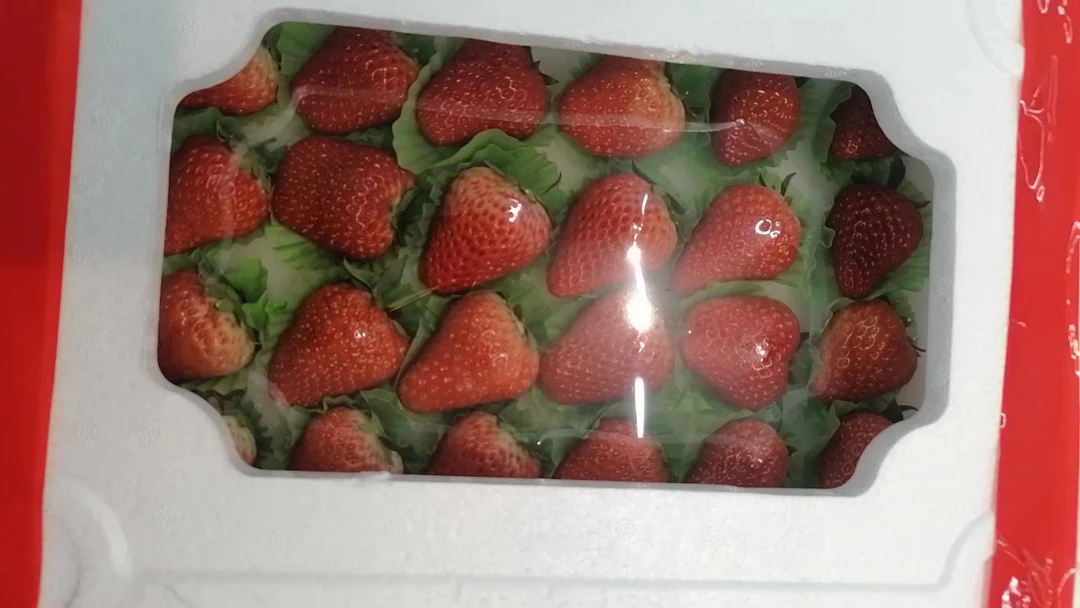 【吉林市同城配送】久久草莓大果·24枚·约750g/箱