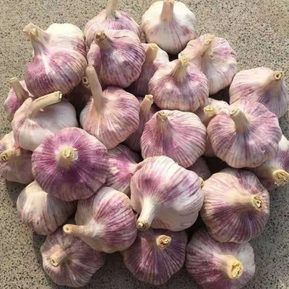 【蔬菜配送】大蒜 约150g