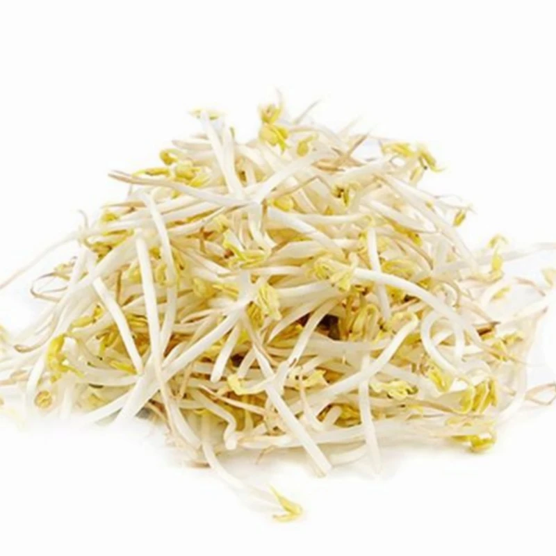 【腌制配送】绿豆芽