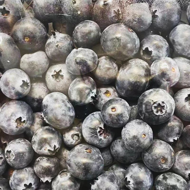 【鲜果配送】蓝莓 毛重500g/盒17～30mm 丹东蓝莓辽宁省