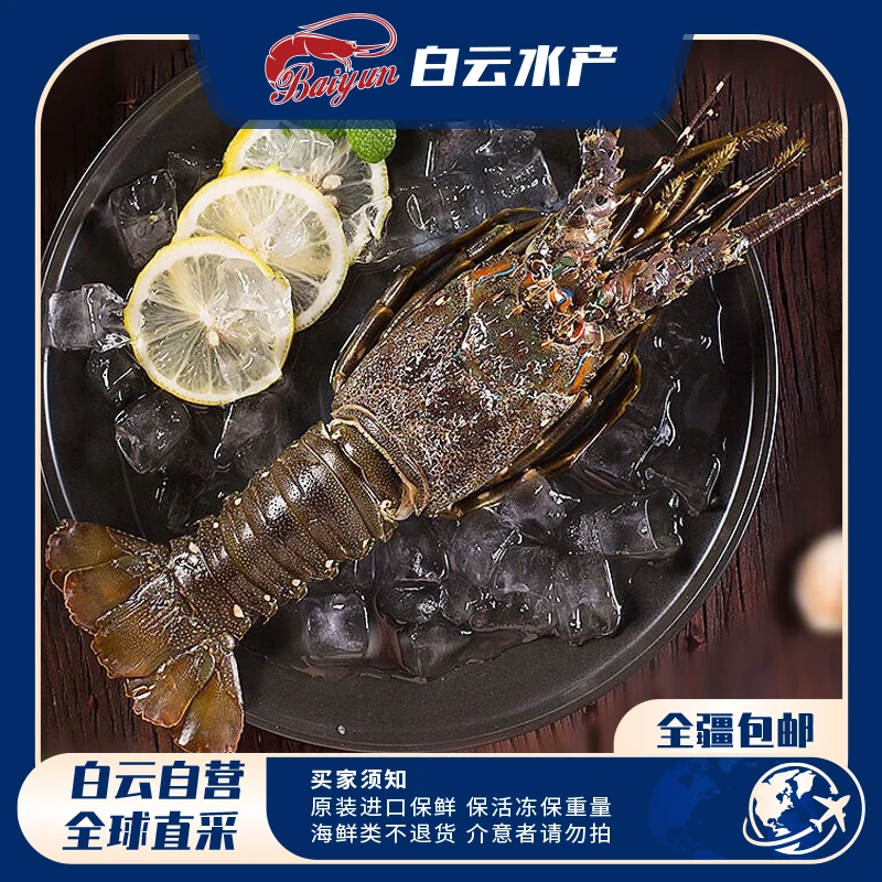 【如月甄选】新鲜活冻大龙虾礼盒装 约2kg/盒