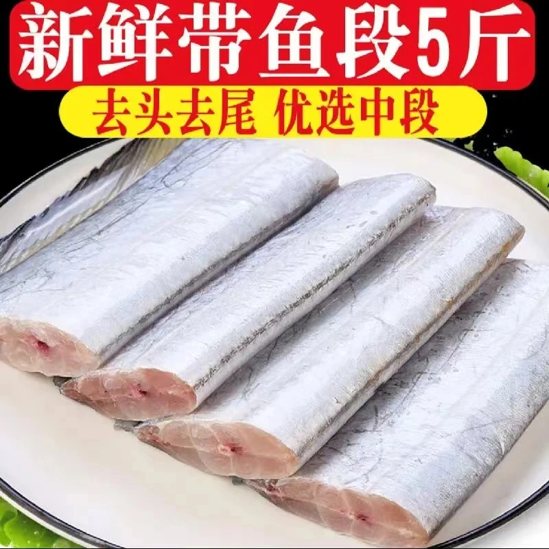当天海捕东海新鲜带鱼大段去头去尾中段特大段鲜活冷冻锁鲜肉质