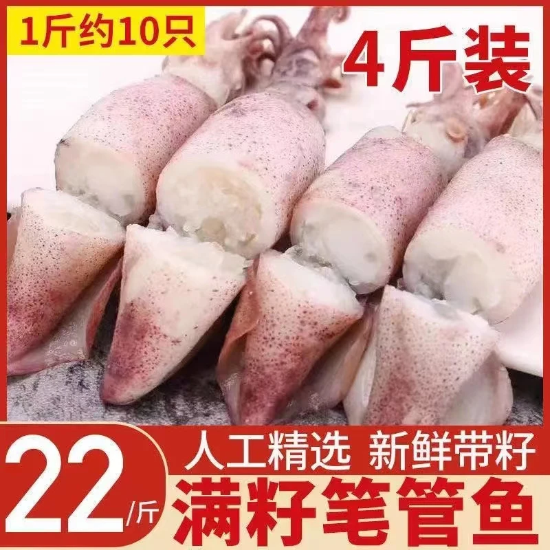 全籽籽乌带籽满籽乌鱼新鲜海兔笔管鱼墨鱼鱿鱼八爪鱼斗鱼海鲜批发