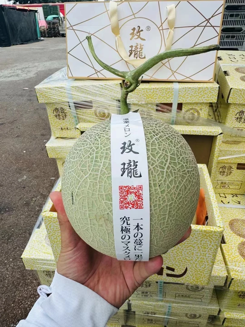 海南玫龙蜜瓜，冰淇淋口感，瓜中爱马仕，约18斤左右(5/6个)/箱