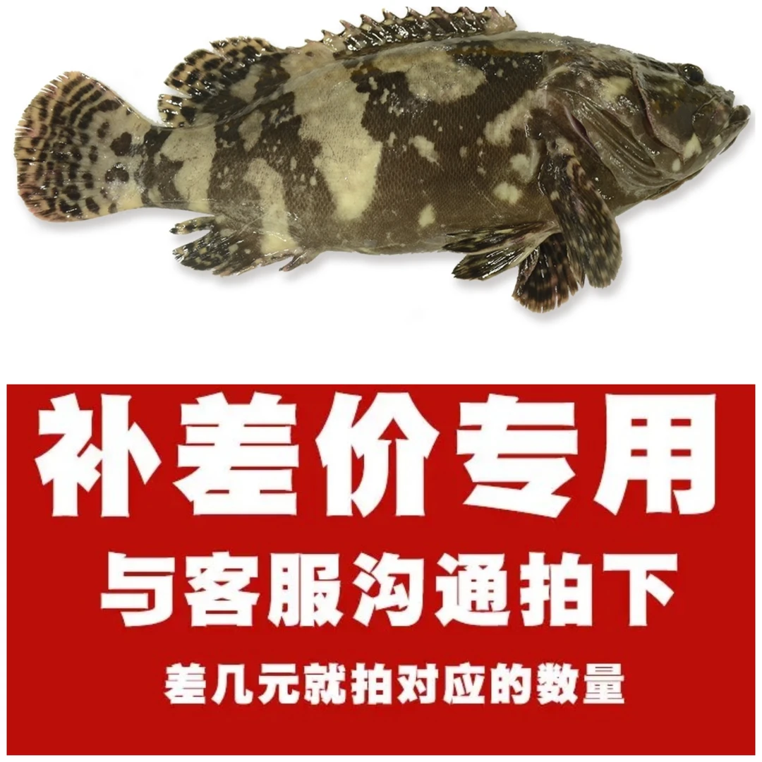 海鲜补差价邮费专用连接拍之前请与客服沟通补多少就拍相应的数量