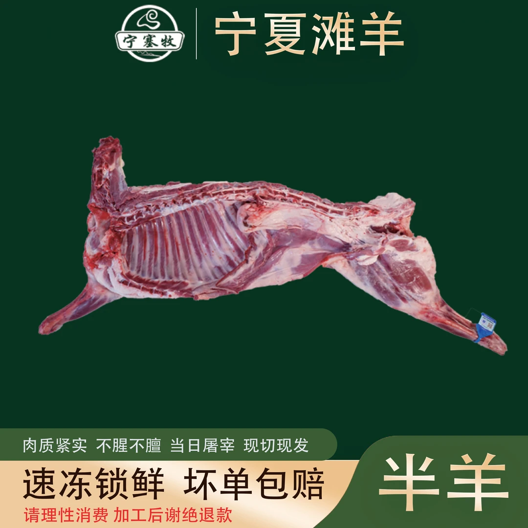 小半羊6斤 宁塞牧宁夏滩羊羔羊肉 鲜肉鲜切 清炖火锅烧烤食材