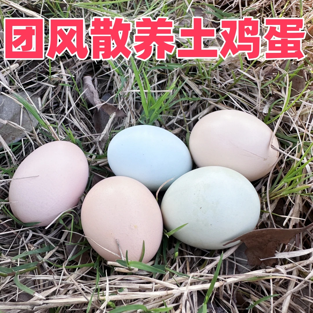正综农家散养土鸡蛋走地鸡谷物虫草饲养柴鸡蛋笨鸡蛋