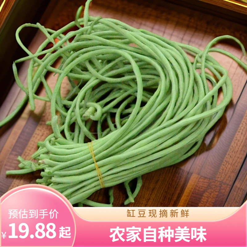缸豆农家自种新鲜豆角现摘现发长豆营养丰富脆嫩清新应季蔬菜