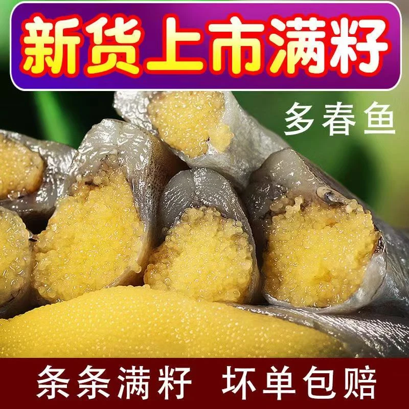 【顺丰包邮】新鲜大号满籽多春鱼当季海鲜水产鲜活冷冻小海鱼烧烤
