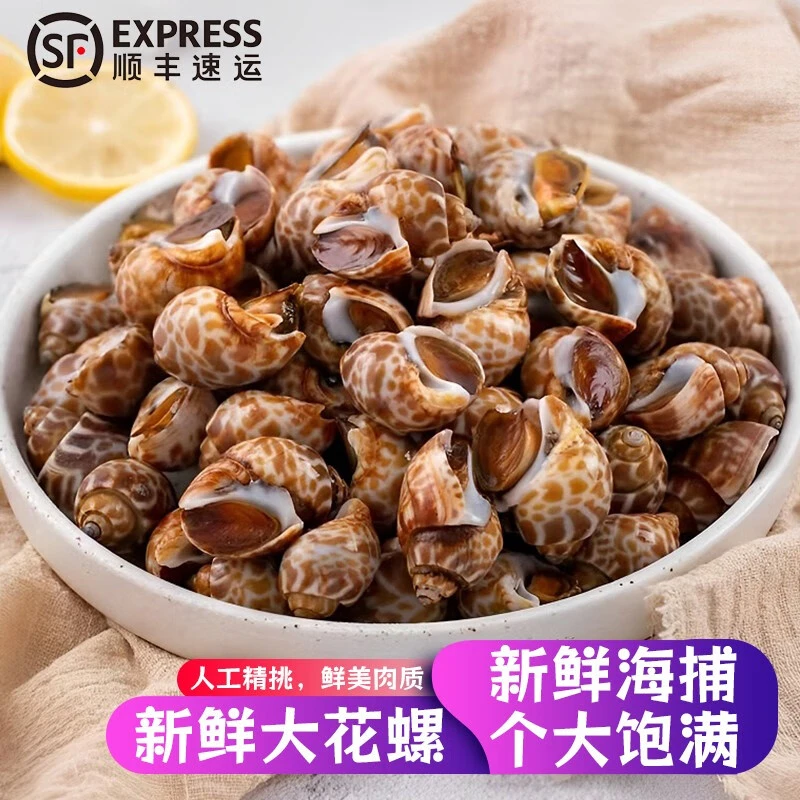 【顺丰包邮】新鲜花螺海捕速冻捞汁花螺香螺海螺东风螺类海鲜水产