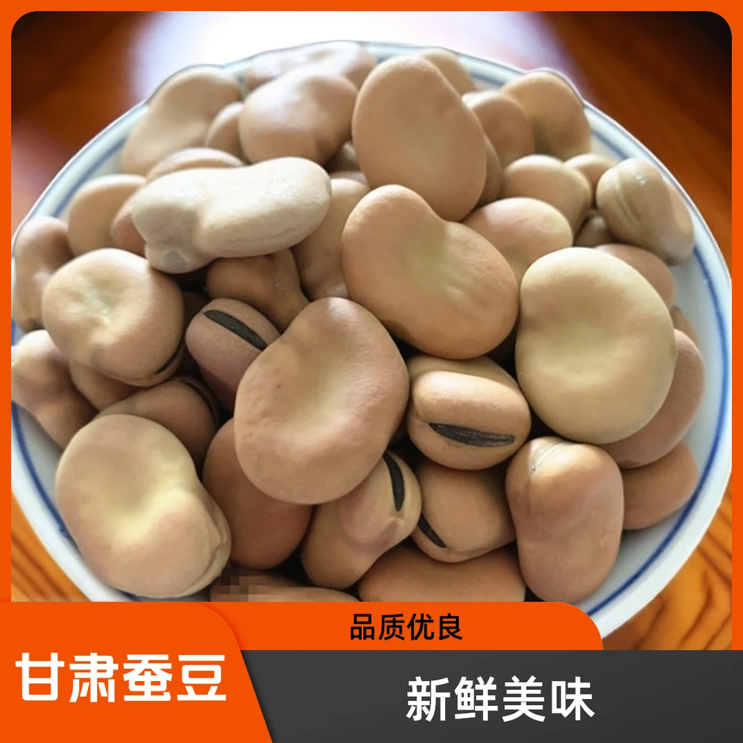 甘肃蚕豆新蚕豆胡豆农家自产新货新鲜五谷杂粮薄皮2024年新货