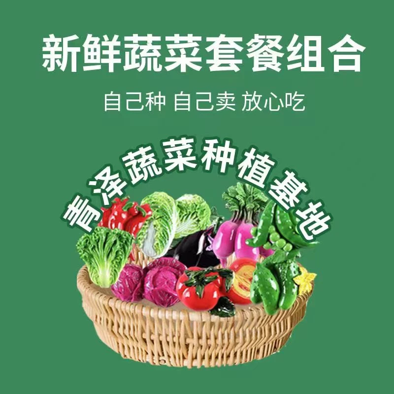 (快递送到家）天津-西青辛口镇本地新鲜蔬菜套餐现摘净3-10斤