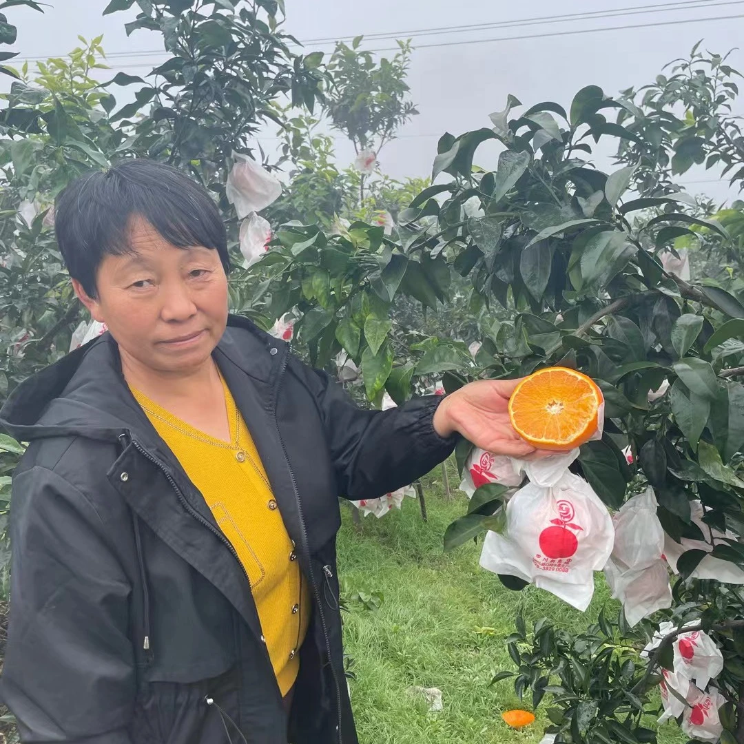 四川眉山爱媛果冻橙汁水充足产地直采5/8斤装