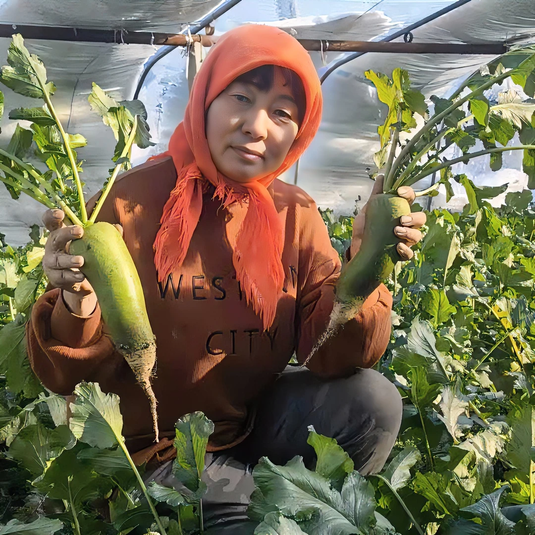 青泽农场-正宗辛口镇小沙窝村脆甜沙窝萝卜（天星02）5斤/8斤装