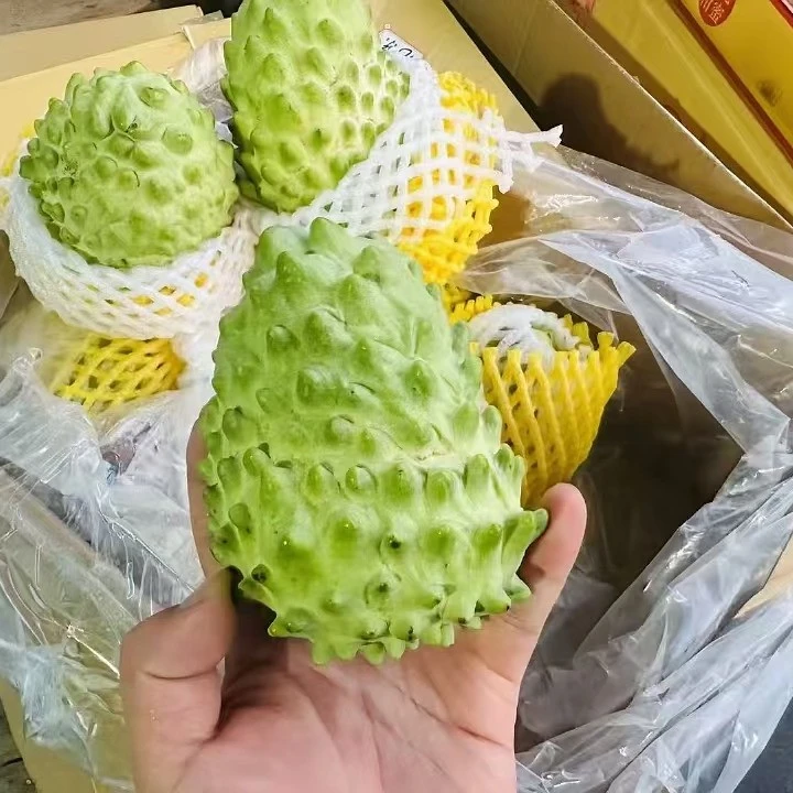 释迦一颗