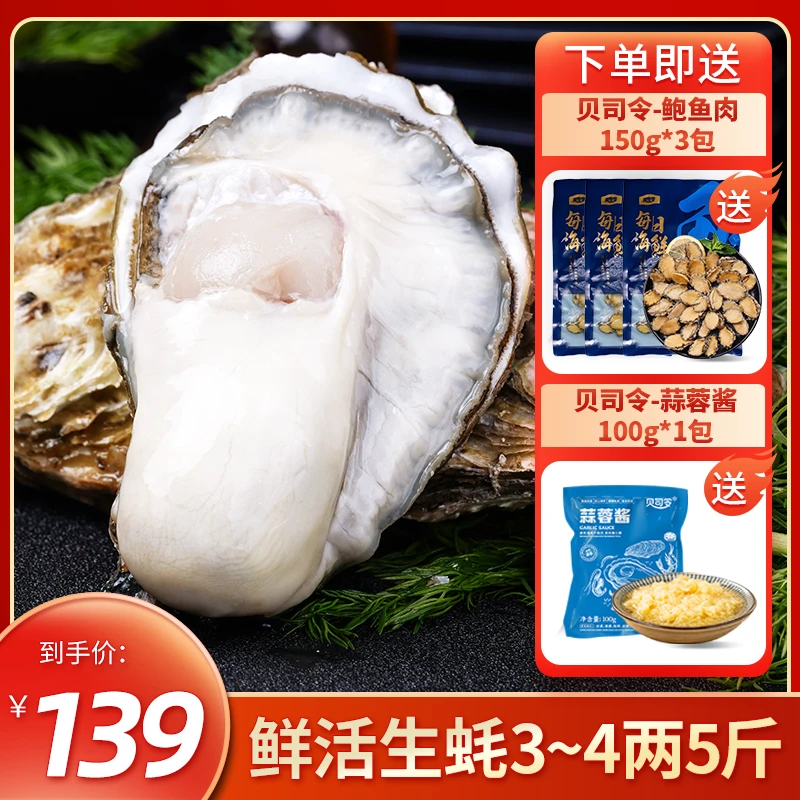 【买生蚝 送鲍鱼肉】贝司令鲜活生蚝 3-4两/个 5斤装
