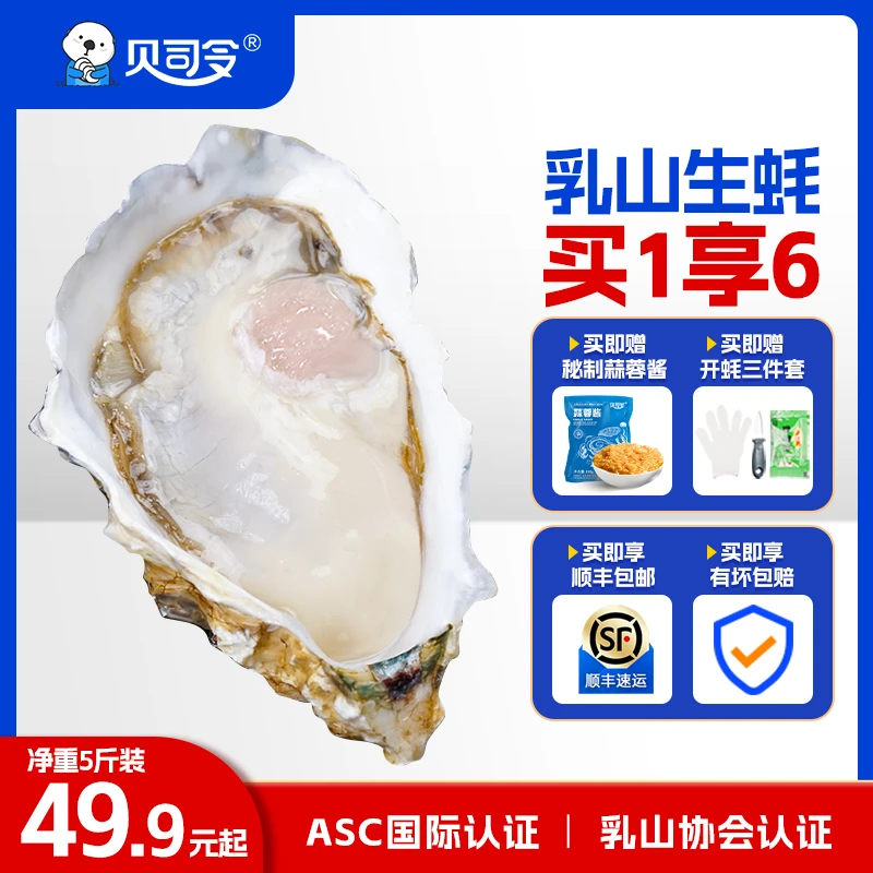 贝司令鲜活乳山生蚝1-5两/个 海鲜水产海蛎子新鲜大牡蛎5斤