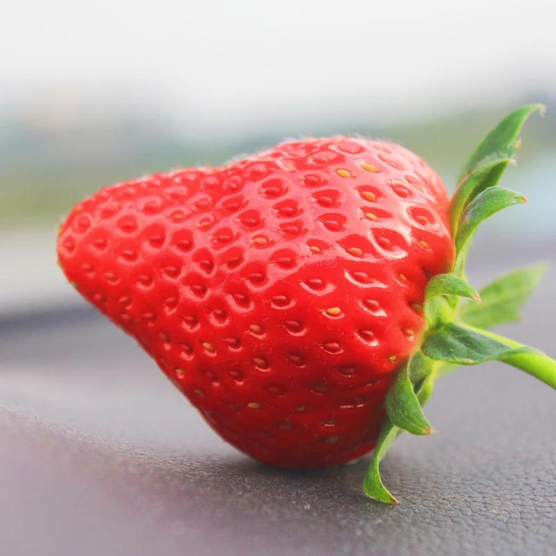 【臻果味抖音上新】成都草莓中果草莓一盒（约250克±10克）