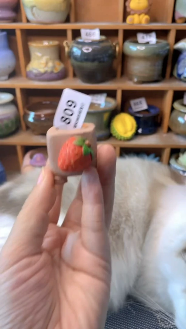 【闪购商品】陶瓷罐809 内口2
