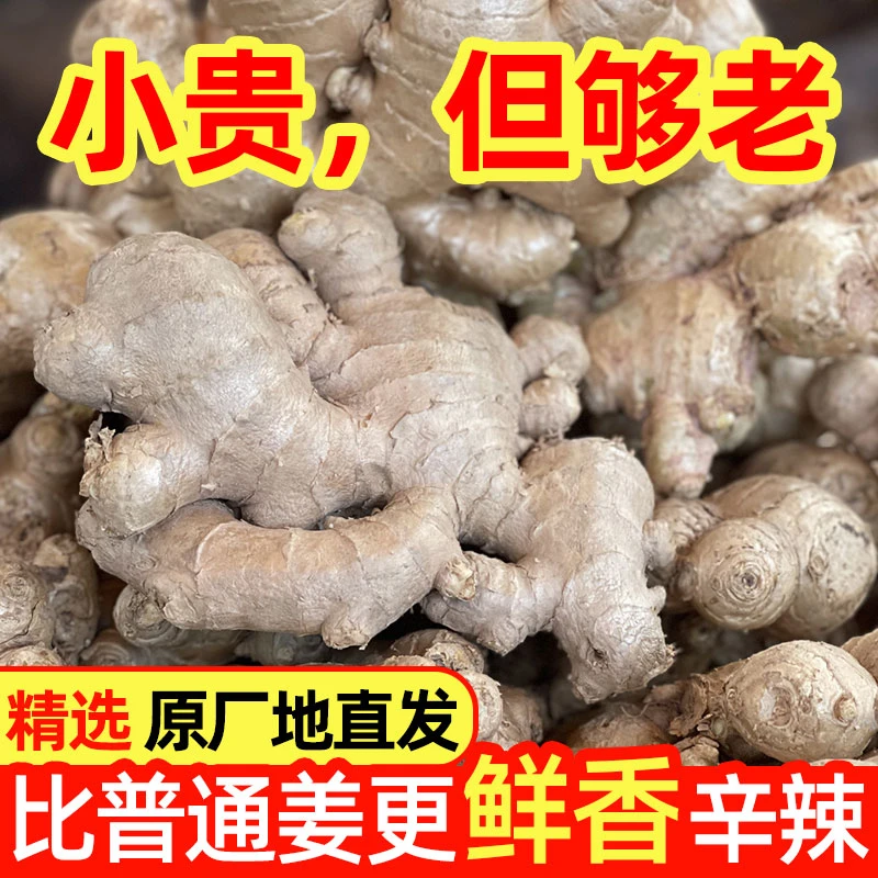 【两年老姜】正宗云南小黄姜香味浓郁辛辣产地直销黄姜云南生姜特级