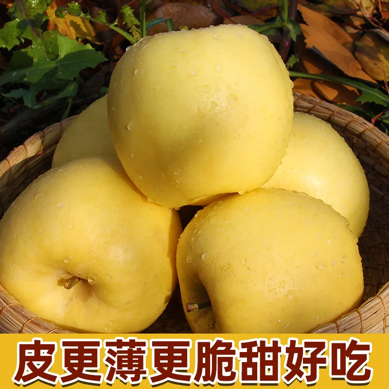 正宗山东黄金奶油富士苹果冰糖心丑苹果脆甜实惠新鲜水果自然好吃