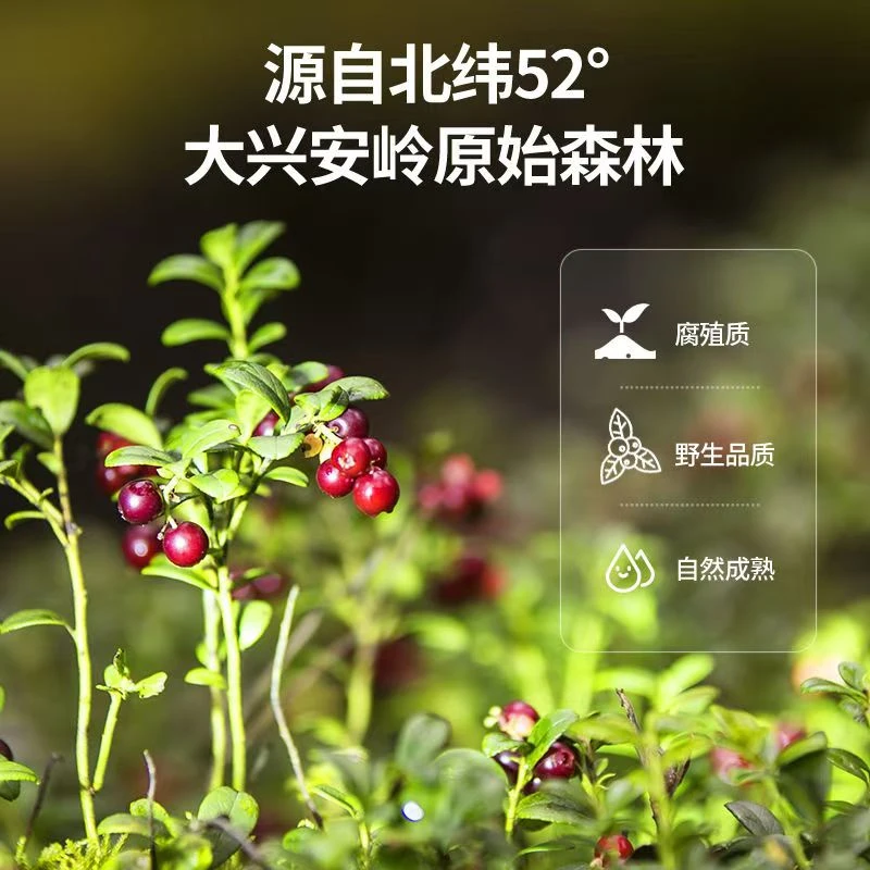 1000g【顺丰】野生蔓越莓非常酸(有少许出汁水,介意勿拍)