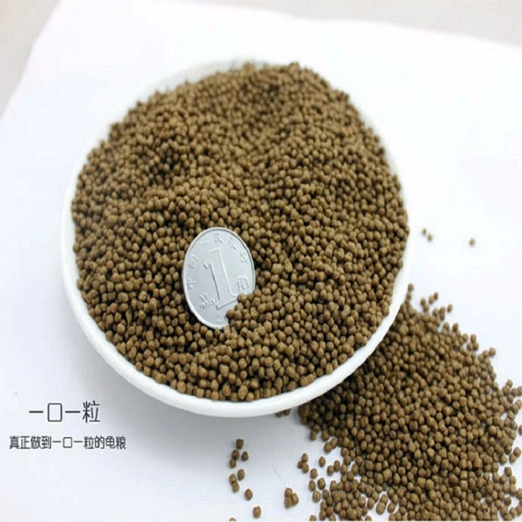 正宗冷水甲鱼石金钱饲料包邮