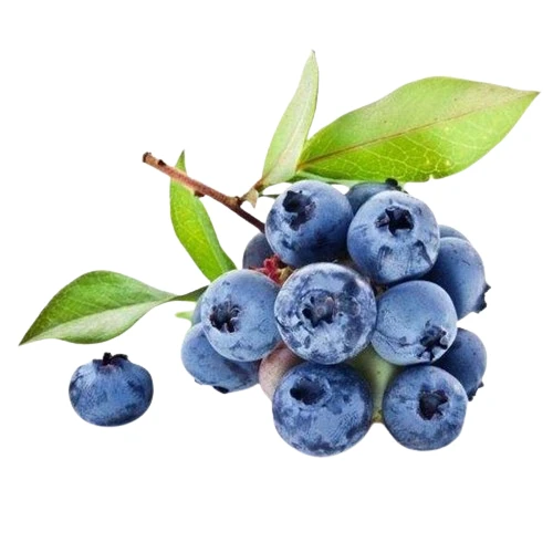蓝莓100克17mm-20mm烟台蓝莓山东省青岛市