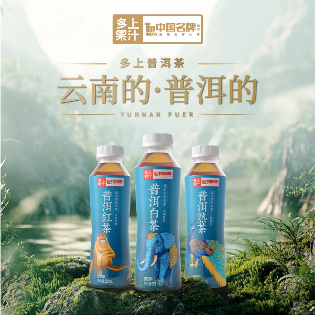 多上普洱茶【混合装 】500ml 云南普洱茶原叶热萃0糖0脂0卡
