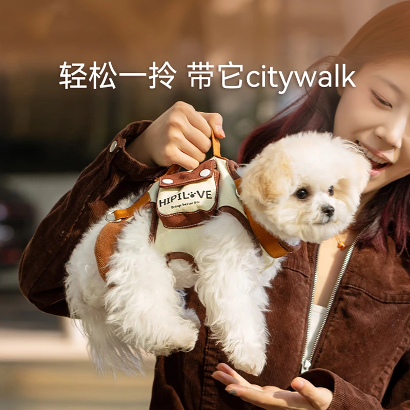 [达人]宠物狗狗英伦风多功能牵引绳可提轻松出门泰迪小型幼犬2776