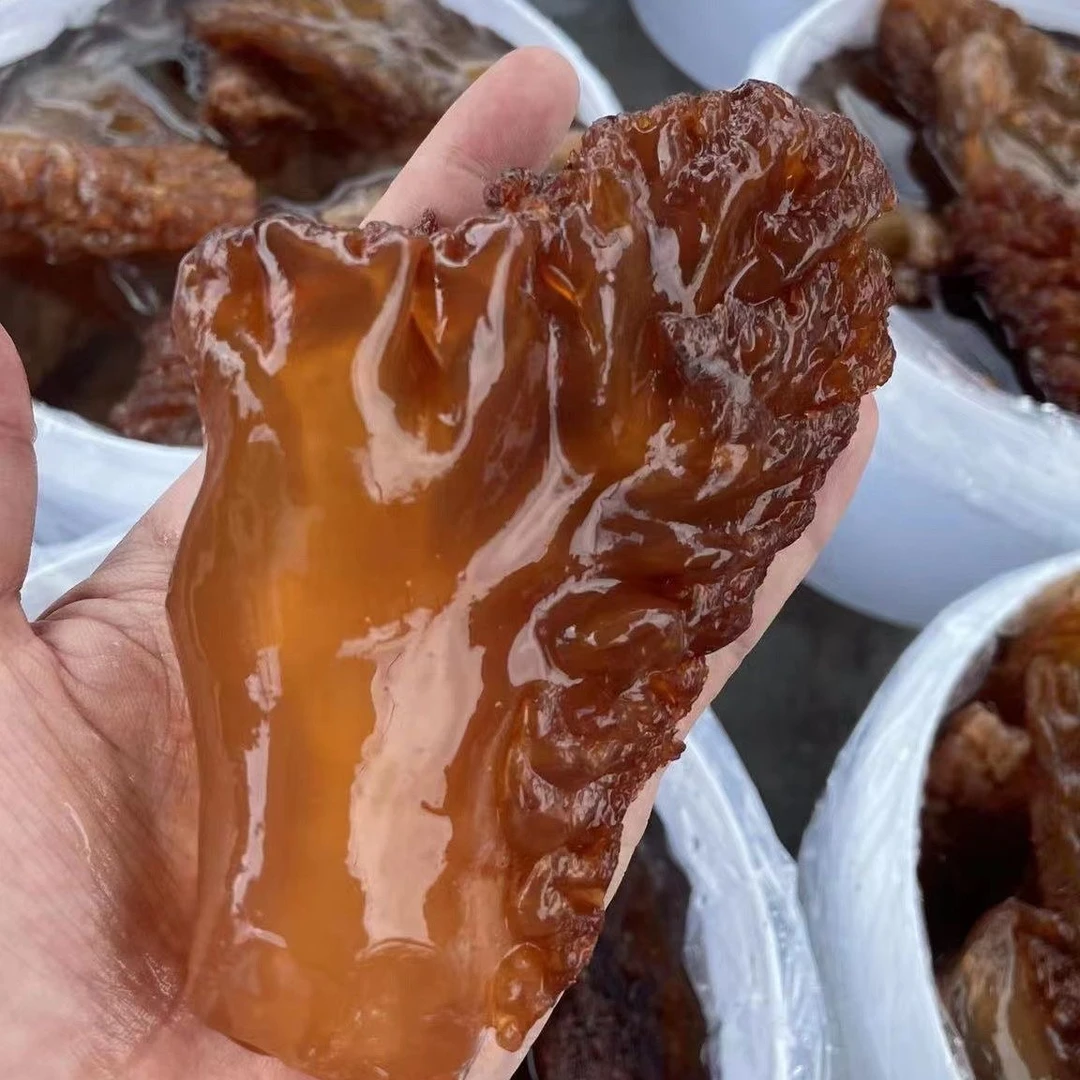 海蜇角 大脚 净重5斤装 棉蛰角 桶装非即食 吕四发货