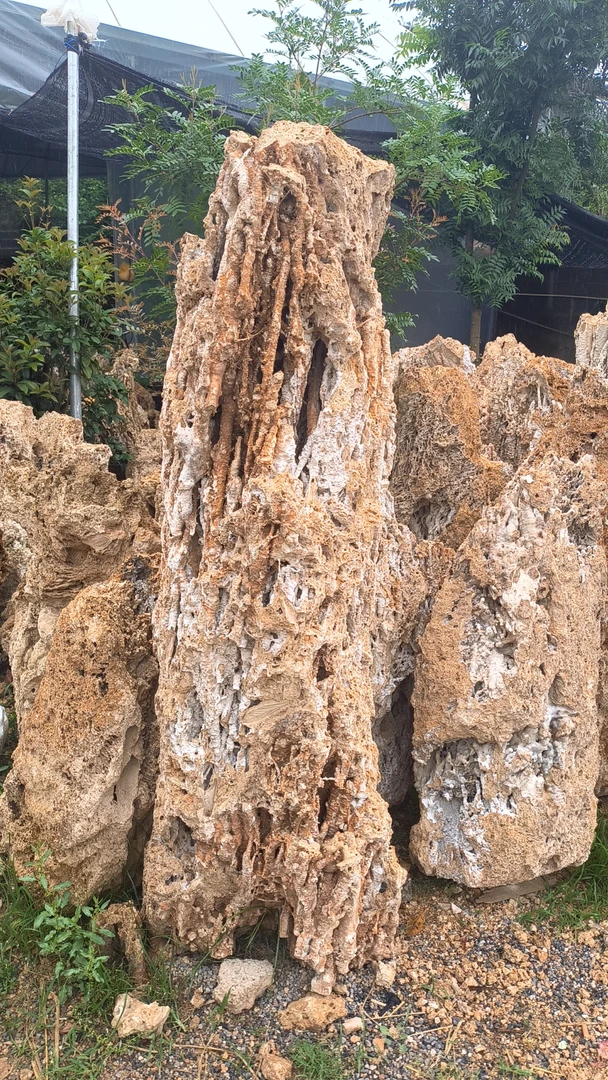 精品吸水石，纯天然上水石