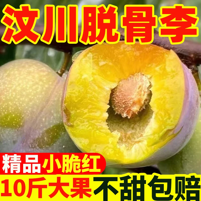 【福利】汶川脆红李子青脆李爆甜半红小脆红李子当季孕妇水果现摘发
