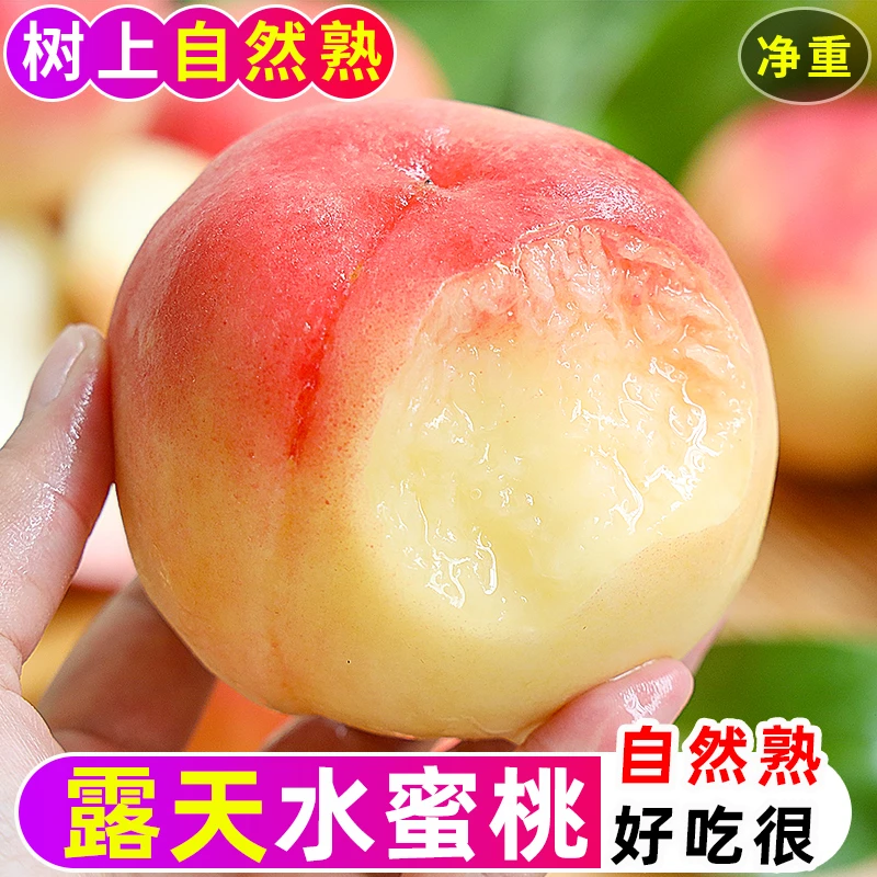 顺丰【御品一园】山西水蜜桃新鲜现摘鲜甜多汁水果新鲜脆水果