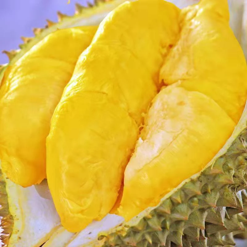 泰狼树上熟鲜榴莲/个g（核小）金枕