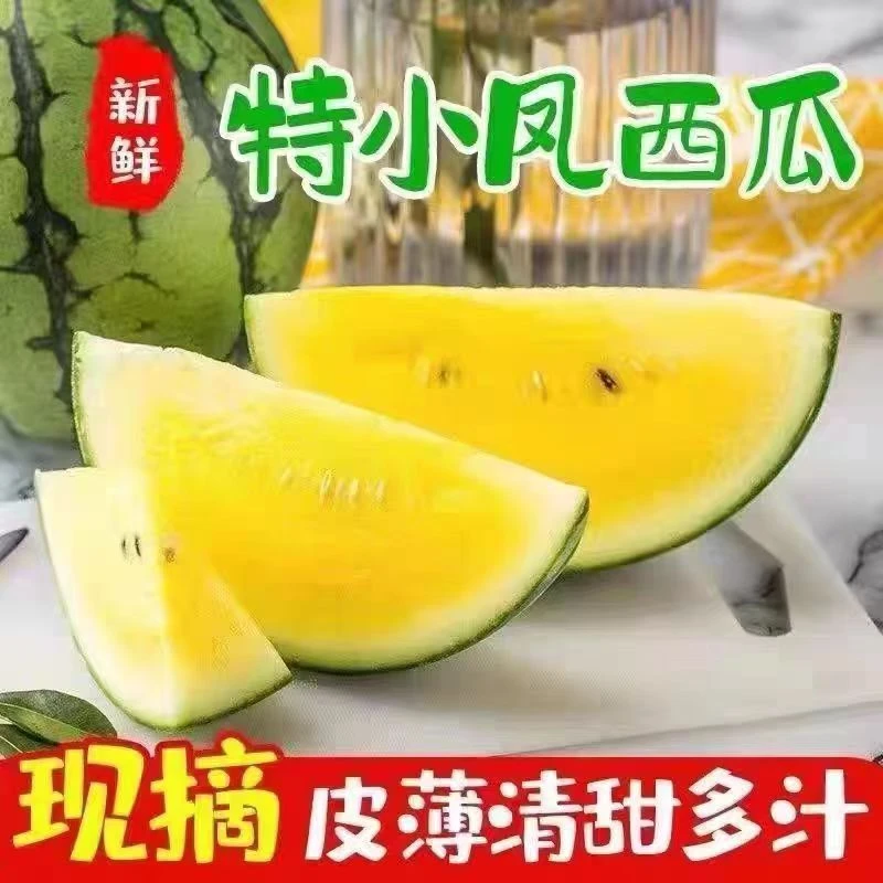 冰淇淋小西瓜/个2.5斤左右