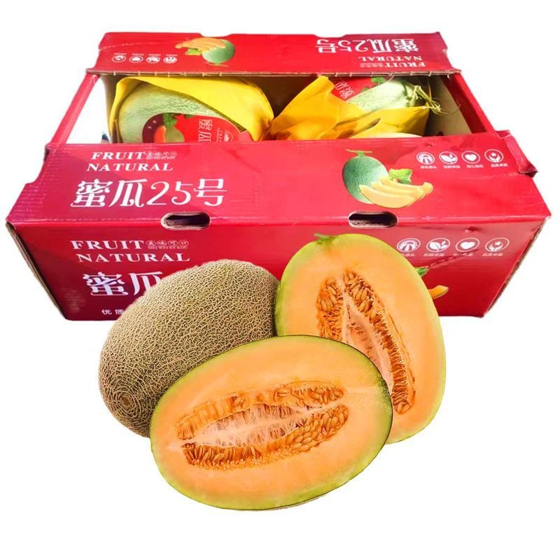 海南小蜜哈密瓜5个/箱13-14斤