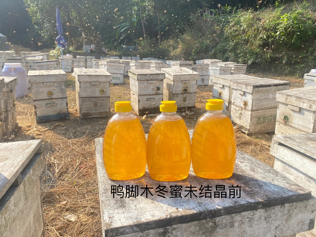 冬蜜 鸭脚木冬蜜原蜜  结晶蜂蜜 1千克   自产自销蜂蜜