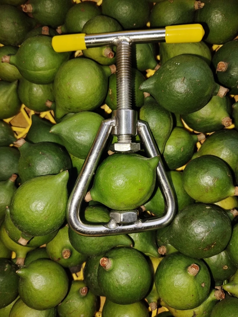 夏威夷果生果发一个开口器