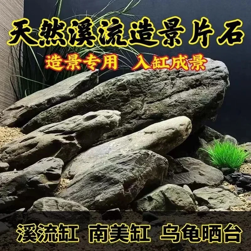 原生缸精品溪流片石乌龟晒背片岩造景台鱼缸爬宠假山组合装饰石片