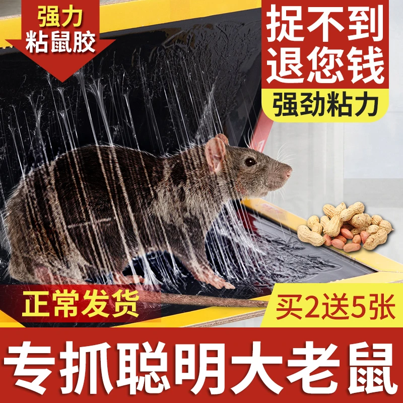 老鼠粘强力粘鼠板捉粘大老鼠贴沾胶抓超强灭鼠家用捕鼠神器老鼠夹