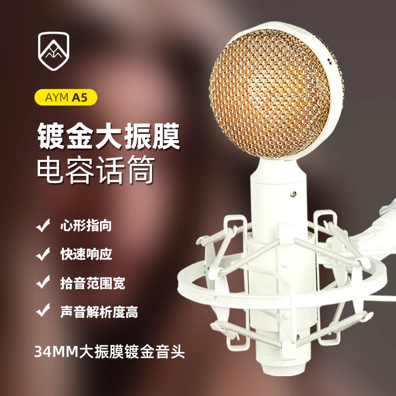 AYM A5大振膜34MM专业电容手持麦克风声卡套装录音室配音直播K歌